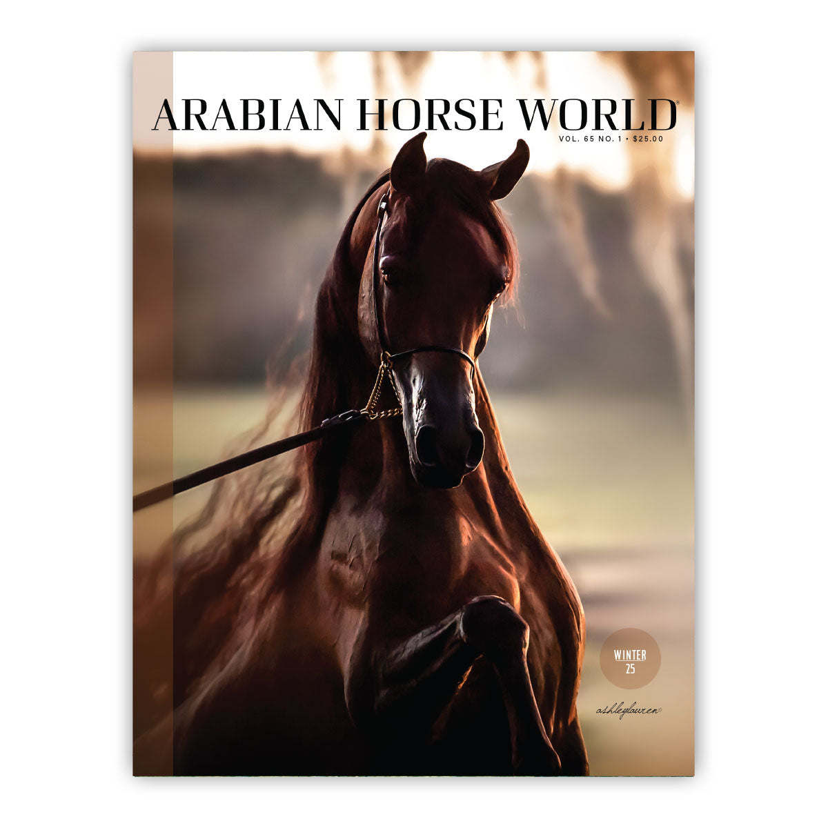 Arabian Horse World Magazine - Winter 2025